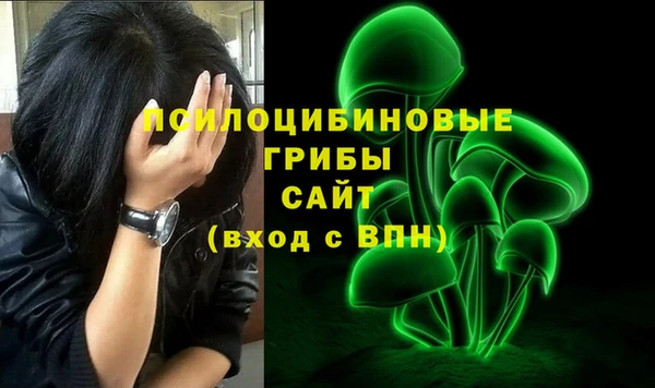 соль курить ск Богданович